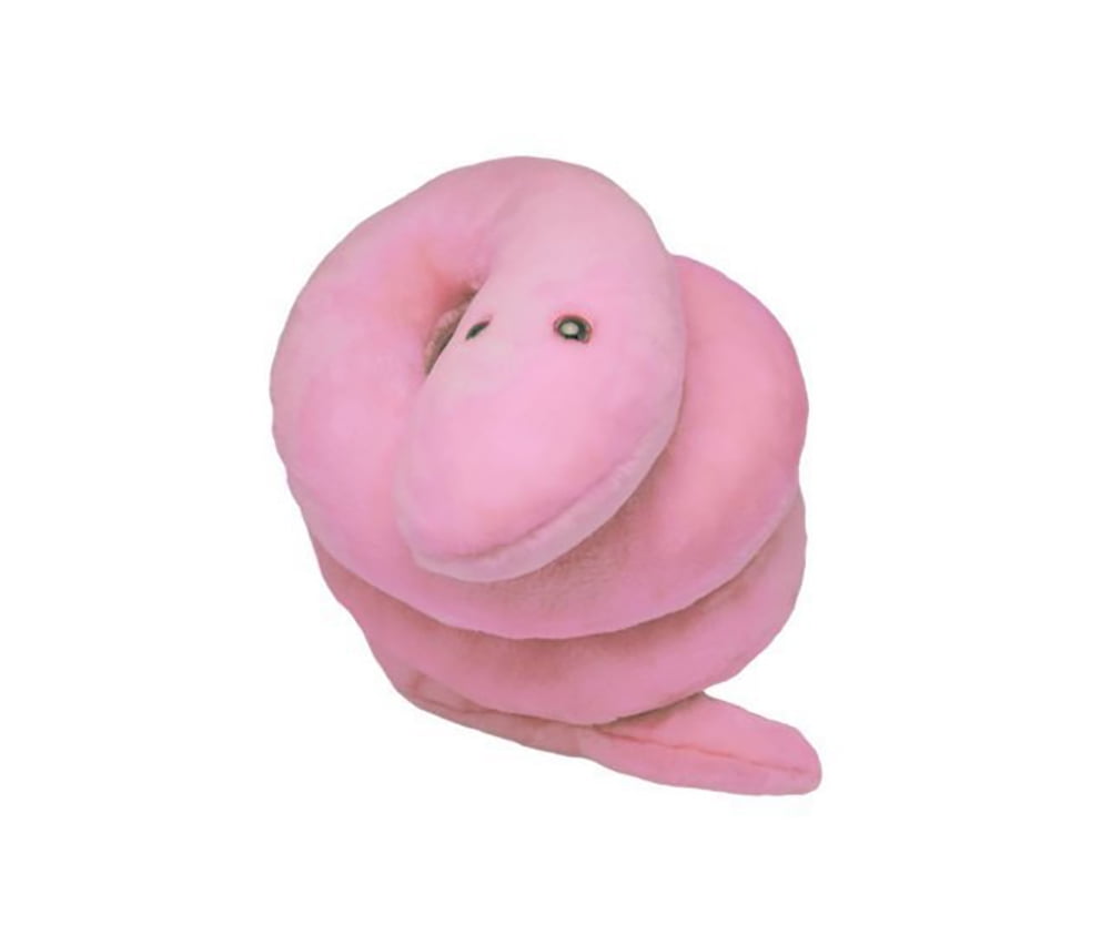 chlamydia stuffed toy
