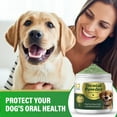 thumbnail image 2 of Dog Teeth Cleaning Powder,Dog Teeth Cleaning,Natural & Pet-Safe Formula,Easy-to-Use Powder Format, 2 of 9