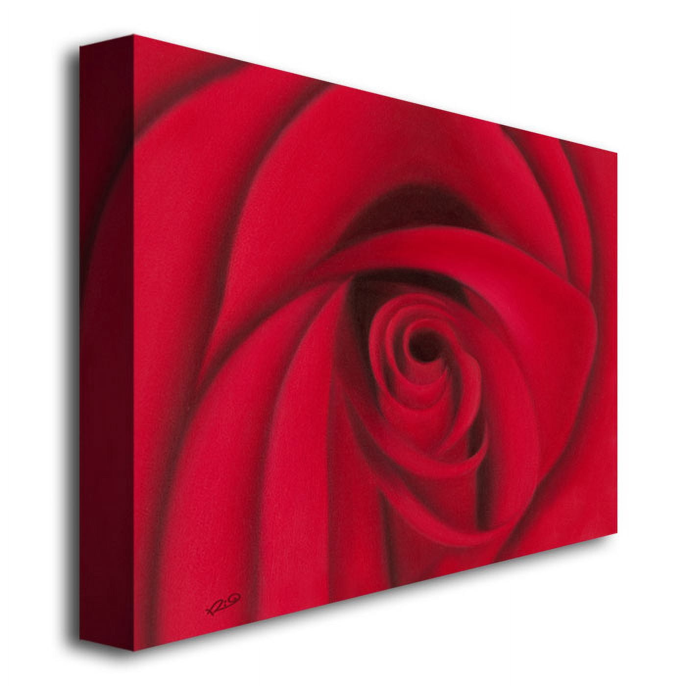 Rio 'Red Rose' Canvas Art