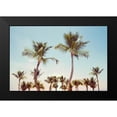 thumbnail image 2 of Carpentieri, Natalie 18x13 Black Modern Framed Museum Art Print Titled - Aruba Palm, 2 of 5