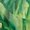 Green Monstera Leaves, variant on Chririnla Grey Red Palm Leaves Swimsuit Bathing Suits Shorts for Women Tummy Control Tankini Swimsuits Swim Tank Top Shorts for Swimming Pool Summer Beach Vacation Gym 2 Pieces