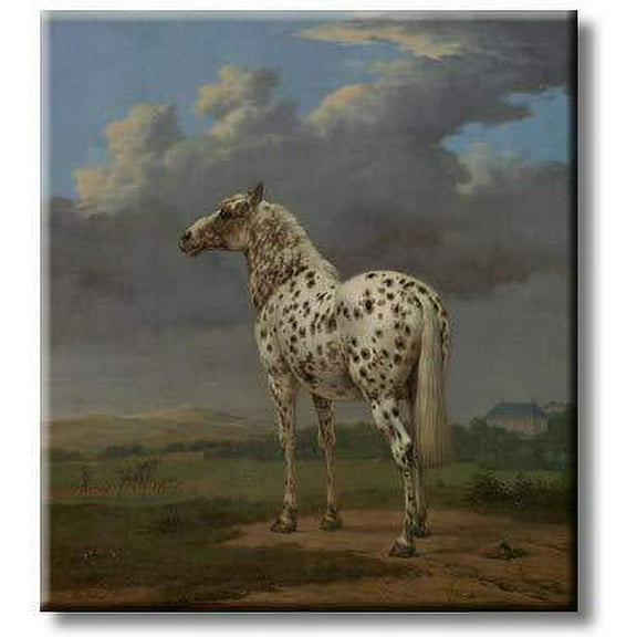 Majestic Horse, Picture on Streched Canvas, Wall Art D?cor, Ready to Hang