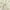 Cream, variant on Archaeo Cotton Blend Button Tab Top Curtain, 40"x84", Cream