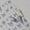 blue butterfly, variant on 5D Embossed Ocean Life Nail Art Stickers Decals Self Adhesive Seashell Starfish Nail Decals Sea Creature Designs Summer Nail Stickers Marine Life Manicure Sliders for Women DIY Nail Art Decorations