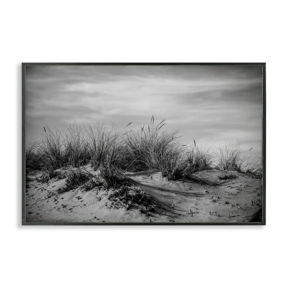 Stupell Industries Point Reyes Beach Dunes Landscape & Nature Photography Black Framed Art Print Wall Art, 18 x 12
