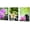Green,White,Purple, variant on 3 Panel Zen Canvas Wall Art Still Life Spa Stones with White Frangipani Green Bamboo Purple Orchid Flower Beach Pictures Modern Canvas Artwork Prints on Canvas Wall Art for BathroomGreen 12" x 16"