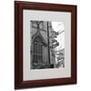 Matted art under acrylic in a wood frame