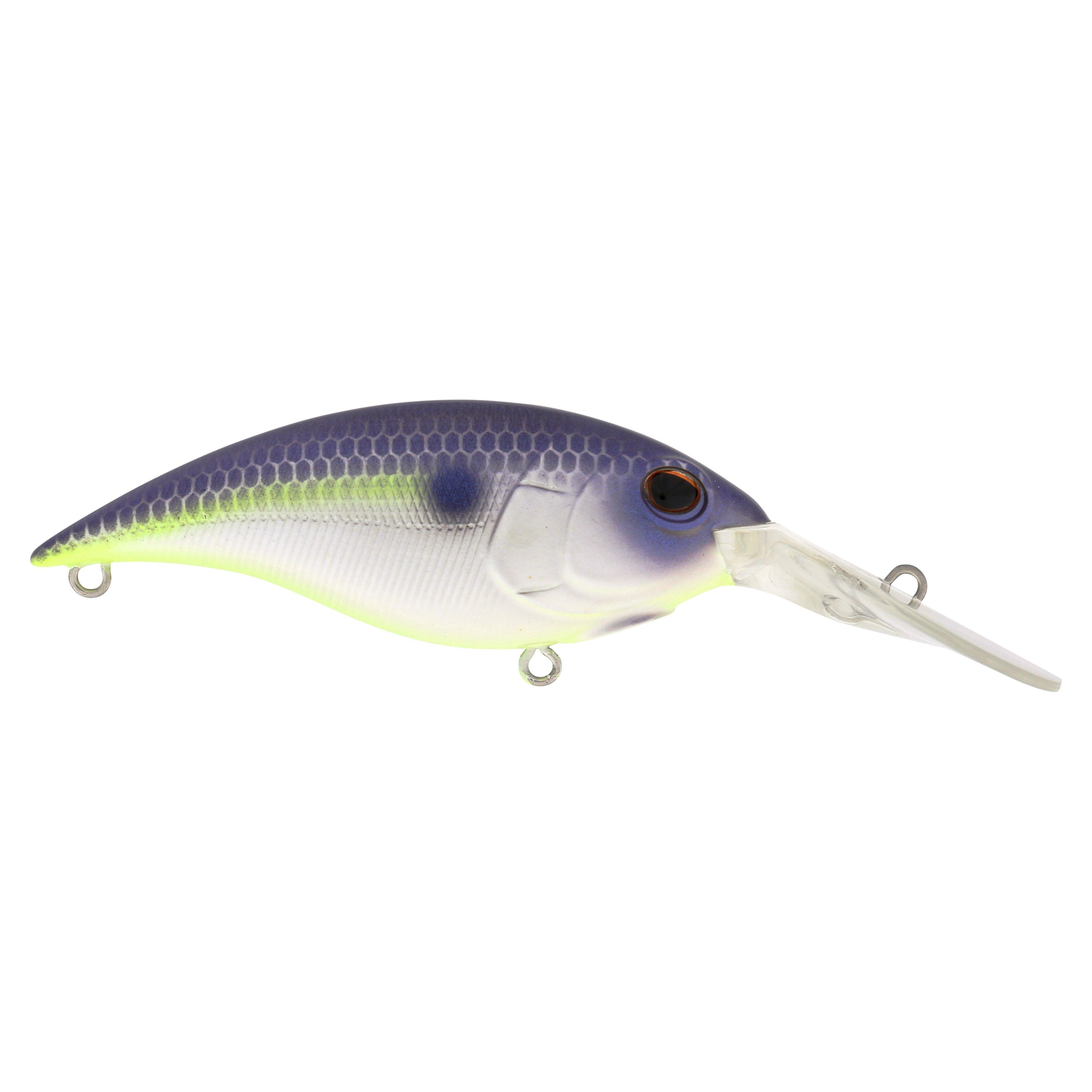 Berkley Money Badger, 7.25, Purple Glimmer