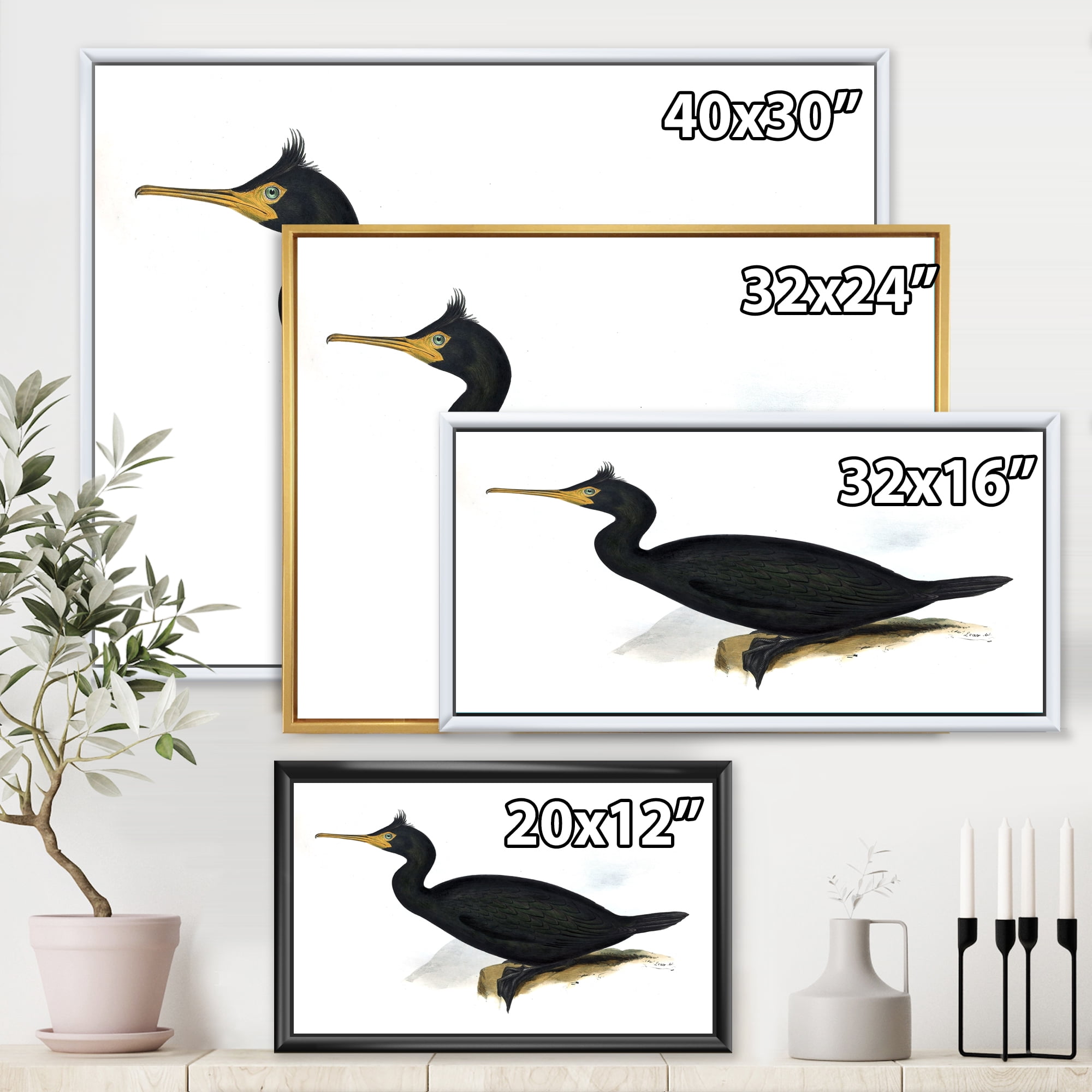 Designart 'Ancient Bird Life IV' Traditional Framed Canvas Wall Art Print
