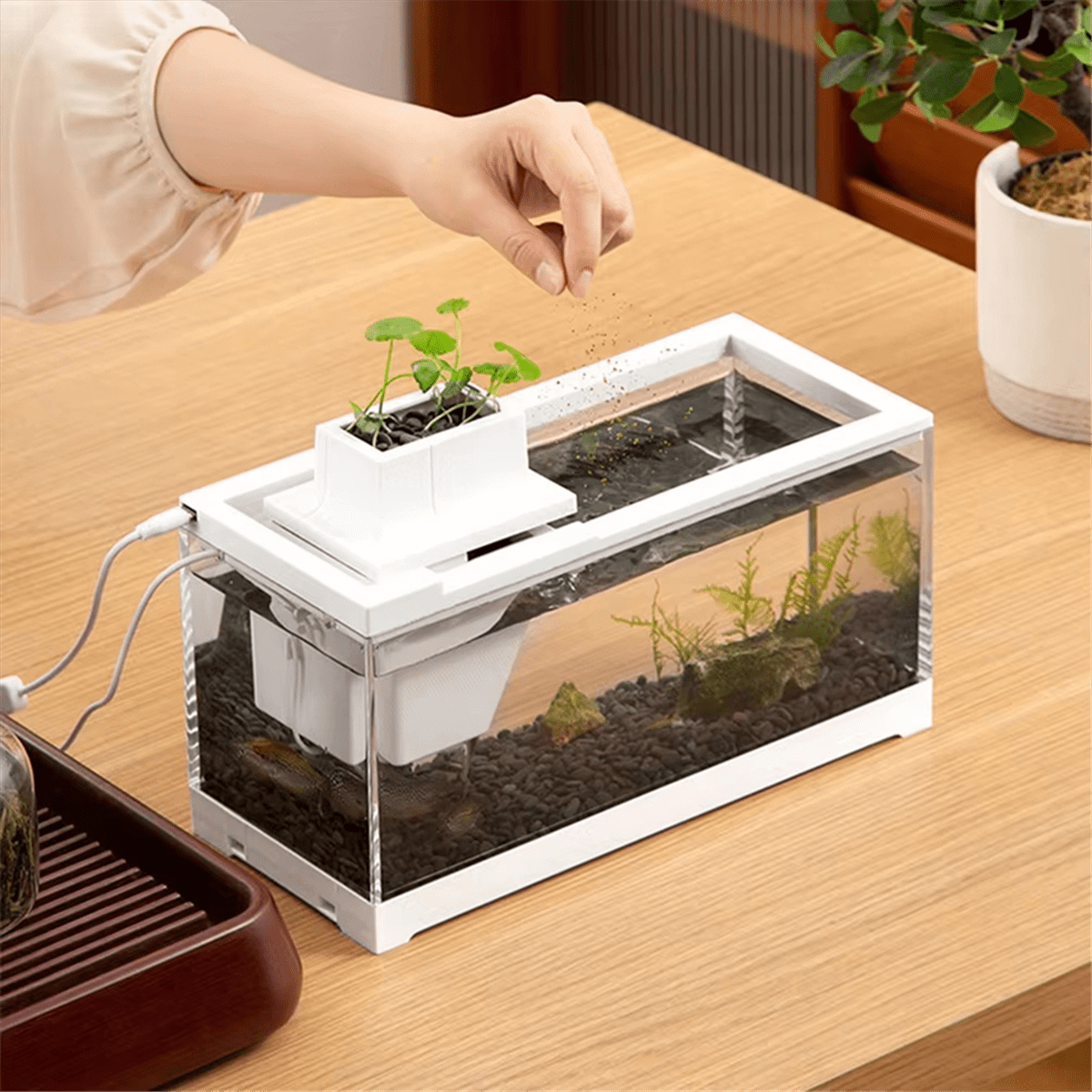 Tiny Fish Tank- Aquarium With Inner Light Mini Landscape
