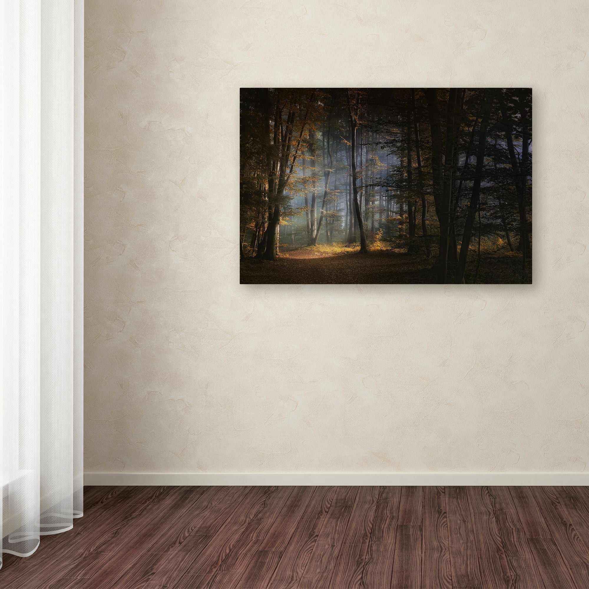 Norbert Maier 'November Morning' Canvas Art