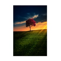 Bess Hamiti 'Awesome Solitude' Canvas Art