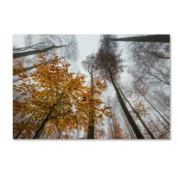 Philippe Sainte-Laudy 'Daydreamer' Canvas Art