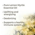 thumbnail image 2 of Plant Therapy Lemon Myrtle Essential Oil 30 mL (1 oz) 100% Pure, Undiluted, Therapeutic Grade, 2 of 7