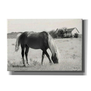 Epic Graffiti 'Summer Grazing' by Lori Deiter, Canvas Wall Art, 26"x18"