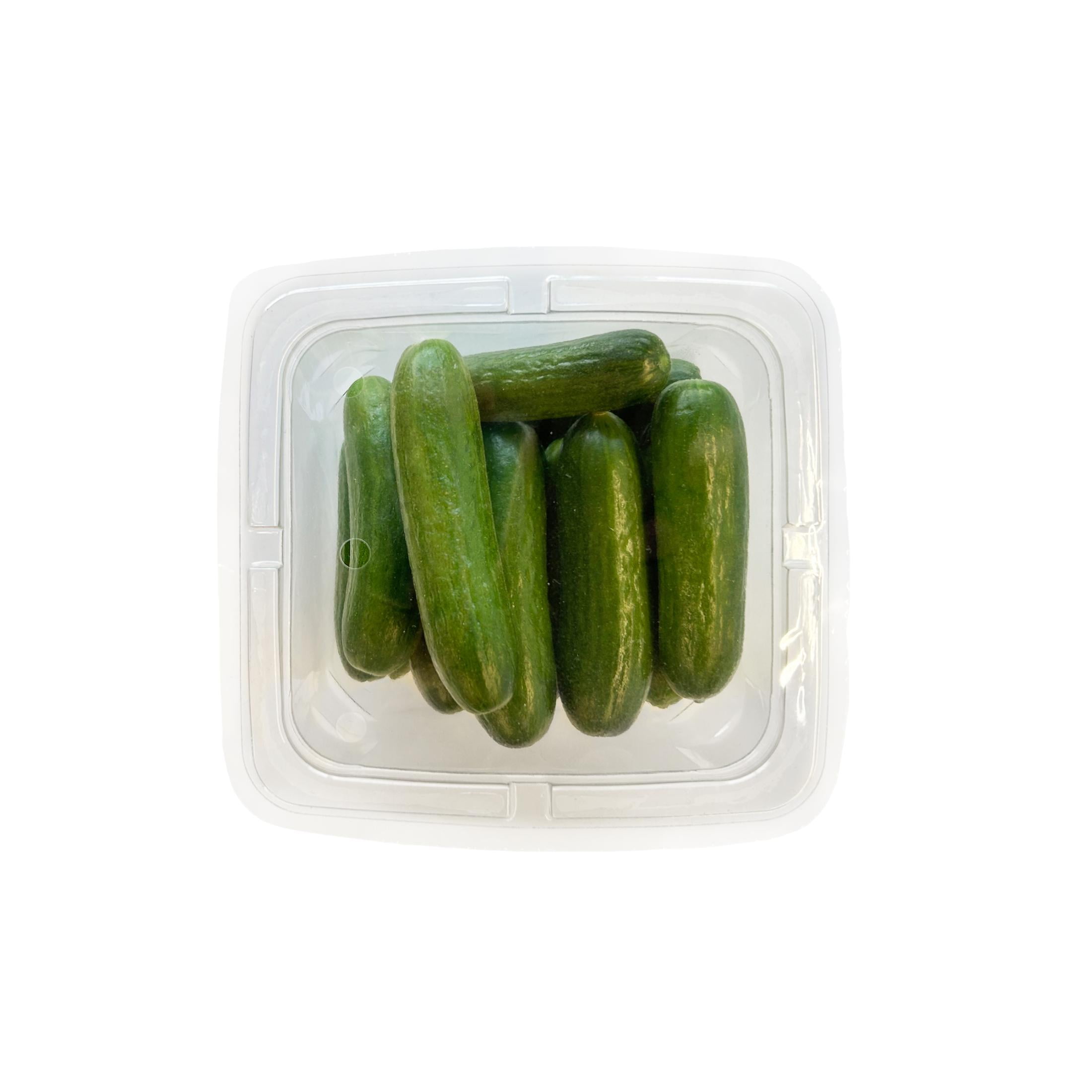Fresh Mini Cocktail Cucumber, 16 oz