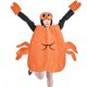 thumbnail image 5 of Disfraz de fruta,Disfraz de animal Disfraz de fantasía Fiesta de cosplay,Accesorios para disfraces de Halloween para adultos,Disfraces para juegos de rol,carnaval,festival,accesorios,Fiesta, 5 of 7