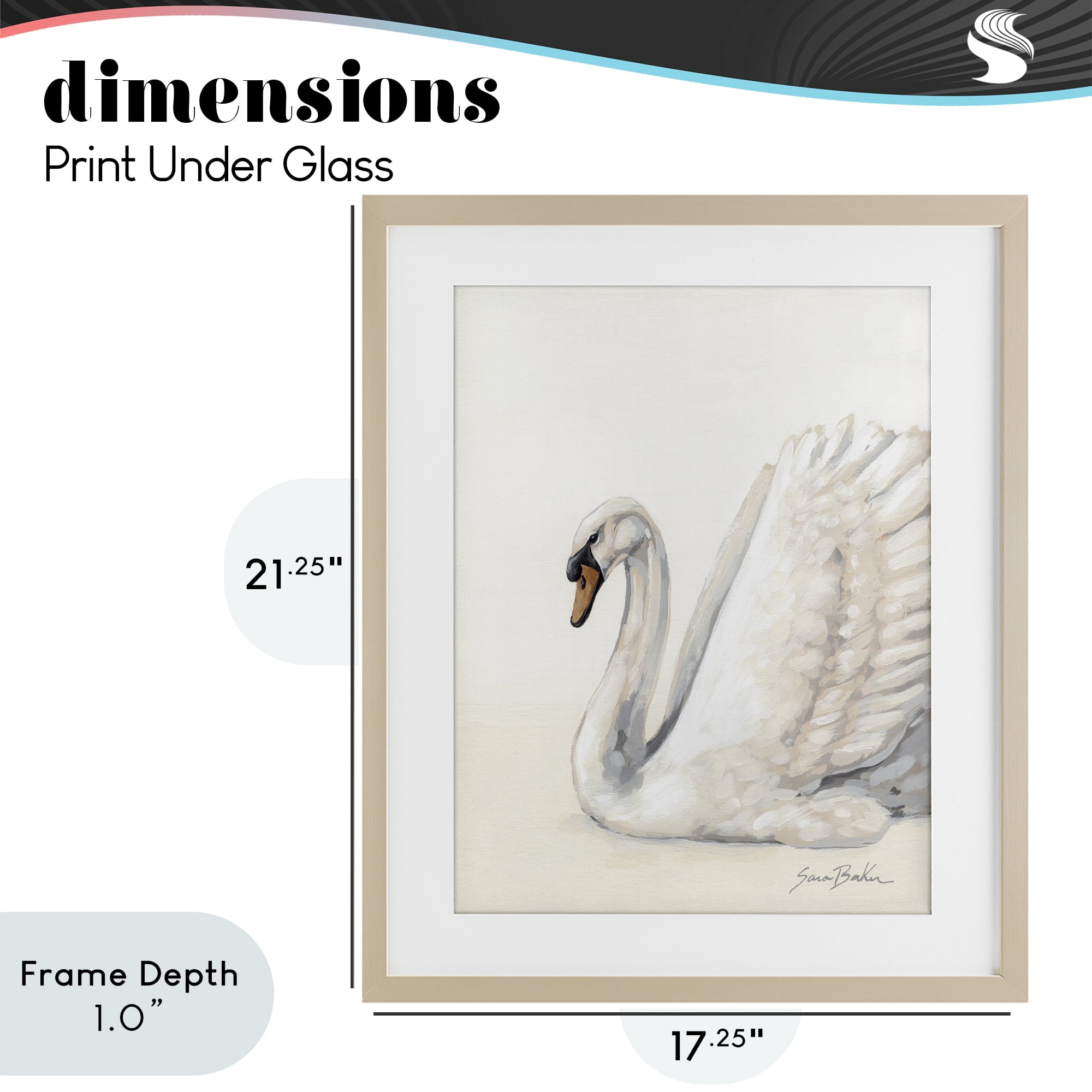 Stupell Industries White Swan in Repose Birch Framed Print Under Glass, design by Sara Baker