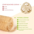 thumbnail image 3 of Natural Shower Loofah Sponge Bath Exfoliating Loofa Body Scrubber Soft and Easy Foaming Spa Lufa Sponges, 3 of 5