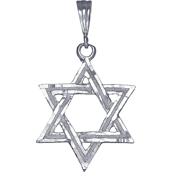 Sterling Silver Star of David Pendant Necklace with Diamond Cut Finish and 24 Inch Figaro Chain