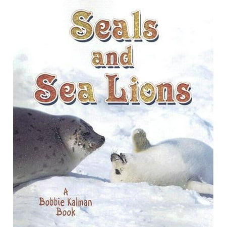 Sea Lion Seal - Seals and Sea Lions