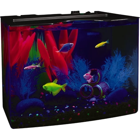 3-Gallon Crescent Aquarium Kit with Hidden Blue LED Light and Internal Filter - Compact Fish Tank for Small Spaces