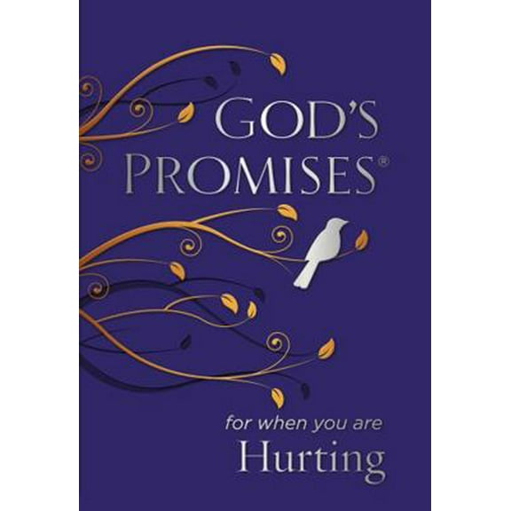 Pre-Owned God's Promises for When You Are Hurting (Paperback)