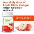 thumbnail image 6 of Nature's Key Apple Cider Vinegar Gummies 120 Count ACV Gummy with Folic Vitamin B6 B12 Beetroot & Pomegranate - Vegan, Non-GMO & Gluten-Free, 6 of 7