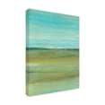 thumbnail image 2 of Tim O Toole 'Terra Verde I' Canvas Art, 2 of 3