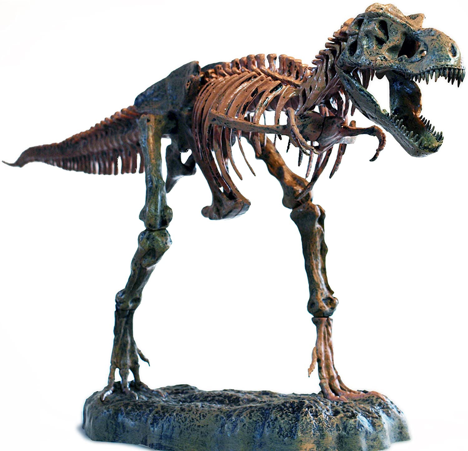 PVC Model Kit 4D T-REX Dinosaur Skeleton Fossil Toys Simulation Unassembled 1/24