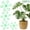 🔥 Green_New#88, variant on Plant Support Clips Set for Climbing Plants – 16 Pack Adjustable Fixing Clips in 4 Sizes for Vines, Flowers, Garden and Indoor Plant Training
