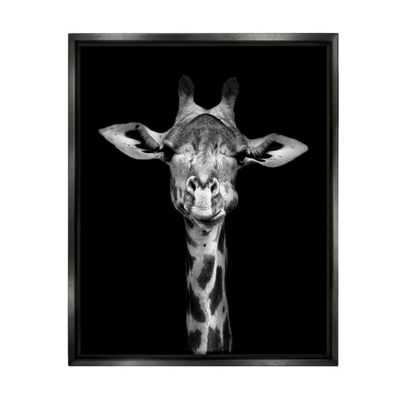 Stupell Industries Greyscale Zebra Stripes Detailed Photography Portrait Jet Black Framed Floating Canvas Wall Art, 16x20, by Incado