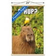 thumbnail image 3 of Capybara - S' Hup Wall Poster with Magnetic Frame, 22.375" x 34", 3 of 5