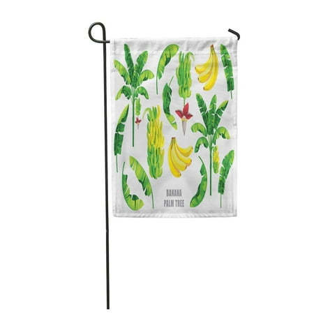 Flower Garden Palm Beach LADDKE Leaf Banana Palm Tree Collection Fruit Flower Garden Flag Decorative Flag House Banner 12x18 inch ()
