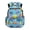 Car Rainbow, variant on XYZCANDO Colorful Sea Turtle Backpack School 17 Inch Kids Backpack for Boys Girls Lightweight with Side Pockets Compartment for Girl Kid Students Elementary School