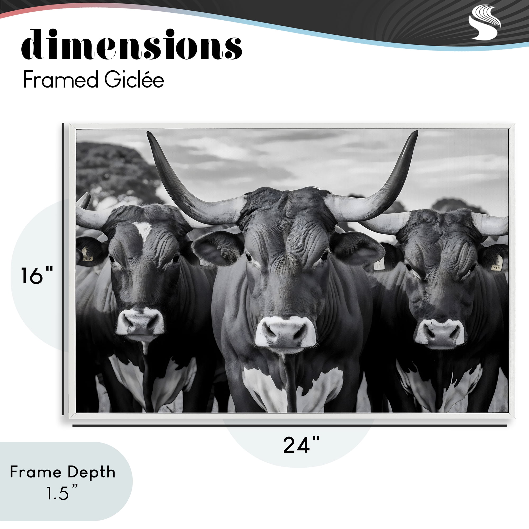 Stupell Industries Three Longhorns in a Row White Framed Giclee Art, design by Creative Studio