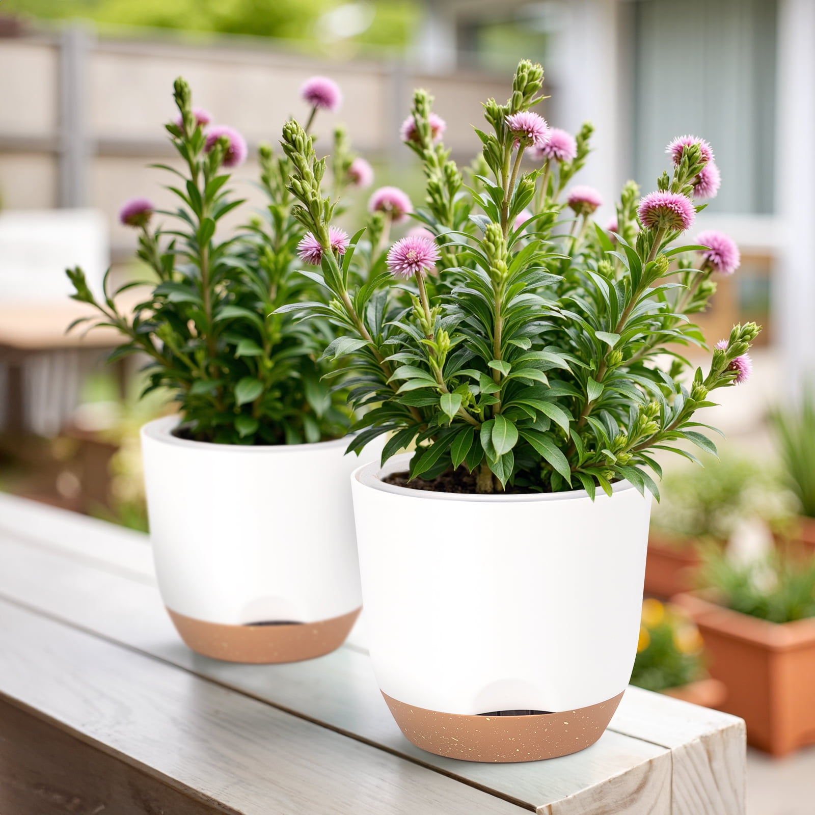 QCQHDU 5.8 Inch Self Watering Planters for Indoor Plants with Bottom Watering,2Pack Flower Plant Pots for Outdoor with Drainage, Durable Plastic planters Pots(White)
