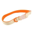 thumbnail image 1 of Dog Collar, Color Matching Durable Dog Collar With Buckle For Camping For Garden  Blue Match Color,Blue  Match Color,Orange Match Color, 1 of 8