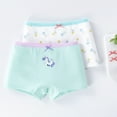 thumbnail image 3 of Little Girls' Cotton Brief Soft Cartoon Print Panty for 3-11 Years Old,2 Packs, 3 of 8