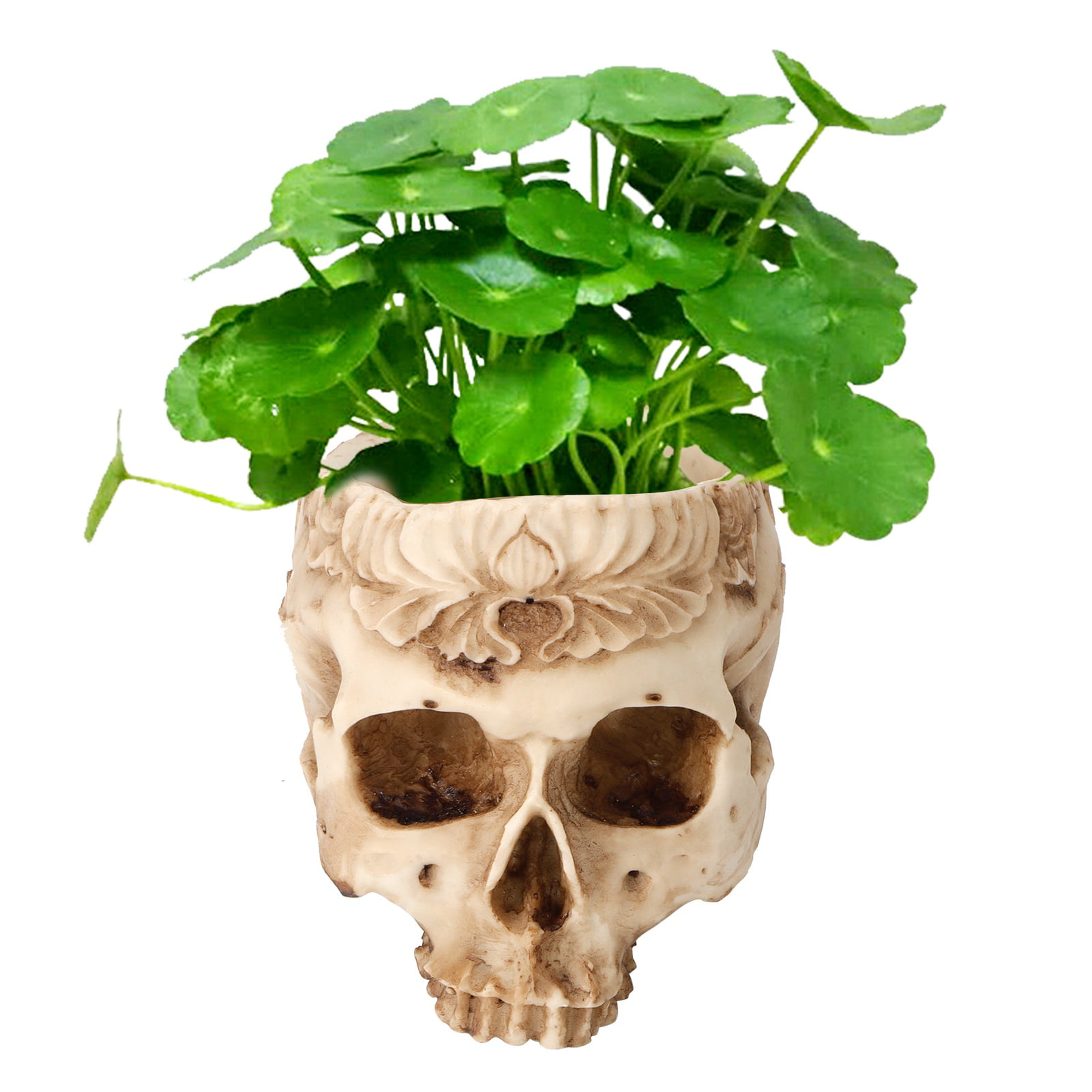 Skull Flower Pot Planters Resin Craftworks Personalized Home Furnishings Bar Ornaments 7.1 x 5 x 5.1in Skull Flowerpot 