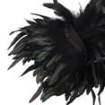 thumbnail image 3 of Chal de plumas para encogimiento de hombros, capa elegante, chal de plumas, chal de plumas para accesorios de disfraz, puesta, 3 of 9