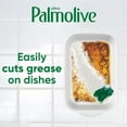 thumbnail image 6 of Ultra Palmolive Antibacterial Dishwashing Liquid Dish Soap Refill 102 Fl. Oz. Kills 99.9% of Bacteria, bundled with Heavy Duty Scotch Brite Sponge, 6 of 7