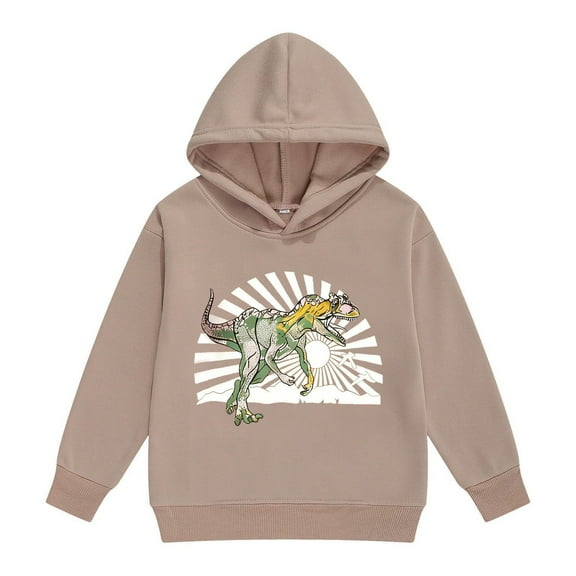 WOYY Toddler Boys Dinosaur Hoodie Long Sleeve Pullover Hooded Sweatshirt, Sizes 2-3T