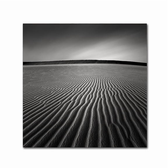 Dave MacVicar 'Ripples' Canvas Wall Art 14 x 14
