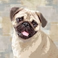 thumbnail image 2 of Rodgers, Keri 12x12 Black Ornate Wood Framed with Double Matting Museum Art Print Titled - Pug, 2 of 4