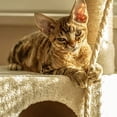 thumbnail image 2 of OULII Household Cat Tree Rope 1Pcs Multi-function Jute Rope Light Brown, 2 of 8