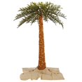 thumbnail image 1 of Vickerman K169361LED Vickerman 6' Outdoor Royal Palm Artificial Tree with 500 Warm White Italian LED Lights, 1 of 3