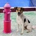 Dog Fire Hydrant Pee Post, 22.4