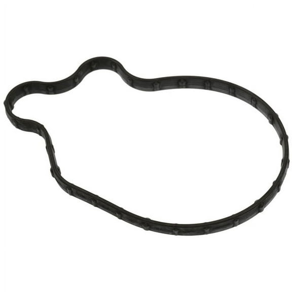 Fuel Pump Mounting Gasket