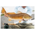 thumbnail image 4 of TFO Moment 7wt 9ft 4pc Fly Rod With Case (TF-07-90-4-MT), 4 of 6